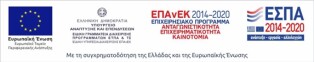 epanek